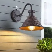 Dusk to Dawn Outdoor Gooseneck Wall Sconce with Dark Sky Cast Hammered Alumin...
