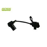 RAE Camshaft Position Sensor - SC083
