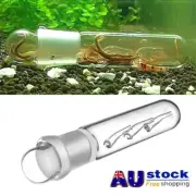 Clear Snail Trap Aquarium Fish Tank Leech-Planaria Worm Plant Catcher Box NEW