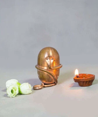 Isha Life Jeevarasam (Consecrate water at home) AUTHENTIC, BY SADHGURU | Best Pr