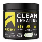 Ascent Clean Creatine Monohydrate Powder - 5G Per Serving Creapure Creatine S...