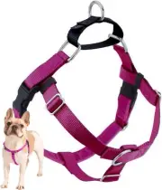 Freedom No-Pull Harness ONLY, Large Raspberry