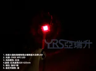 (拍螢火蟲拍鳥植物燈必備) CREE XPE2代紅光 波長620-625nm陶瓷大功率LED無極變焦手電筒 1檔強光