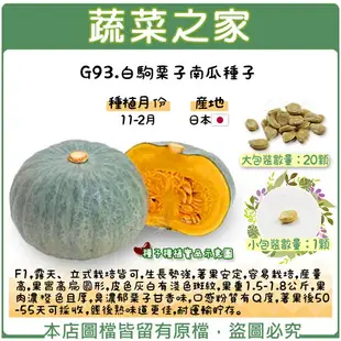 【蔬菜之家】G93.白駒栗子南瓜種子(共有2種包裝可選)