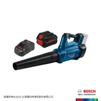 在飛比找momo購物網優惠-【BOSCH 博世】BITURBO 雙渦輪免碳刷鼓風機 GB