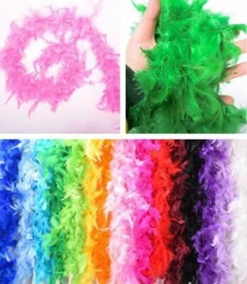 2M Feather Boa Party Dressup Wedding Flower Strip Fluffy Craft Costume Decor