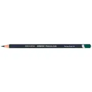 Derwent Procolour Pencil Racing Green