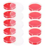 10 Pcs Agar Plates Bulk Blood Marshmallow Vegan Marshmallows