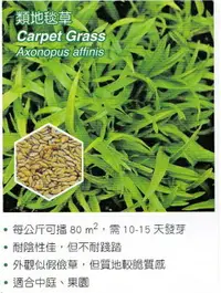 在飛比找樂天市場購物網優惠-50g可撒3平方公尺[類地毯草種子草皮種子]各式觀賞花卉.香