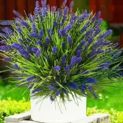 Artificial Plants Outdoor, 22 Pcs Fake Flowers UV Resistant Outdoor Fake