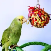 Super Shredding Ball Enrichment Parrot Toy for Medium Birds