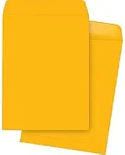 Business Source Catalog Envelopes, 20Lb, 9"x12", 250/BX, Kraft