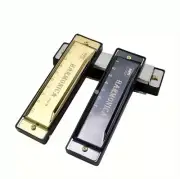 Hot Sale Blues Deluxe Harmonica Key of C, Golden, Silver, Black, + Case ----