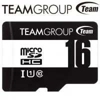 在飛比找露天拍賣優惠-32GB 16GB Team 十銓 microSD micr