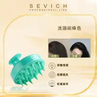 在飛比找蝦皮商城優惠-Sevich 洗髮梳按摩頭皮梳柔軟矽膠護髮工具