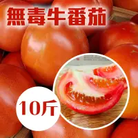 在飛比找台灣好農優惠-生態無毒牛番茄(10斤/箱)