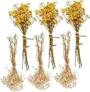 Luxshiny 6pcs Dried Babys Breath Flower Bouquet Flower Arrangement for Wedding Party Decoration Natural Fresh Visual Effect Chic Home Decor Ornaments