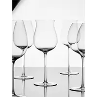 在飛比找ETMall東森購物網優惠-MU16斐波那契系列水晶紅酒杯高腳杯家用輕奢葡萄酒聞香杯禮盒