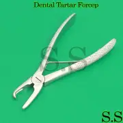 10 Pcs Dental Tartar Forceps 4.5" Calculus Remover Tooth Scraper Veterinary Set