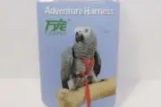 Extra Small bird adjustable walking harness lead Quaker, Lorikeet, Rosella