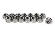 TI22 Performance TIP1124 Header Flange Nut Set 12pt Titanium 14pcs