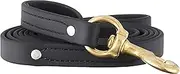 Ray Allen Mfg Signature K9 Biothane Leash, 6-Feet x 3/4-Inch, Black