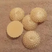 FL604 25mm creamy silver resin "chrysanthemums", flat back (5)