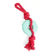 All Day Rubber Donut Tug Dog Toy Blue Pink