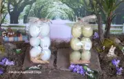 POTTERY BARN FAUX EGG VASE FILLER (6) -NWT- TELL SPRINGTIME THAT CHIC IS NO YOLK