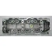 Nason Cylinder Head - Bare - 910070