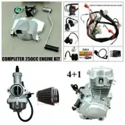 Zongshen 250cc Manual 4+1 Reverse Engine Motor ATV Quad Bike Dune Buggy Go Kart