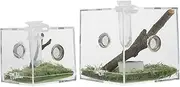 GREENADSCAPE 2pcs Clear Acrylic Spider Habitat Box Jumping Spider Terrarium with Ventilation and Feeding Port for Reptiles Crickets and Insects