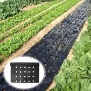 Garden Vegetable Mulch Film for Agricultural Vegetable Garden Plant Farm