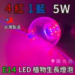 【築光坊】台灣製造 E14 5W 4紅 1藍 植物生長燈 LED 紅光 620NM 藍光 450NM 植物燈泡 多肉觀葉