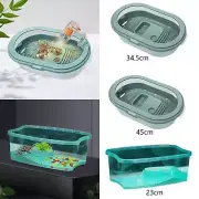 Turtles Tank Aquarium Hatching Area Tortoises Terrapin Lake Reptile Habitat