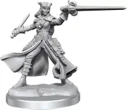 WZK75020 Wizkids Dungeons & Dragons Frameworks: W01 Tiefling Rogue Female