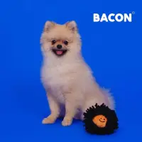 在飛比找蝦皮購物優惠-【你和我的狗】 韓國正版 Bacon 海膽球 寵物玩具 【現