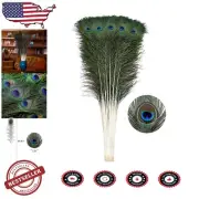 Premium Natural Peacock Feathers - 30pcs Long (32-35in) for Creative Crafts