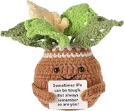 lasuroa Crocheted Potted Plants, Positive Crochet Monstera Handmade Positive Potato Summer Sweet Positive Life Potato Encouragement Gifts for Desk Decoration in The Home Office