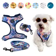 3-PIECE WALKIES BUNDLE [Pipco Pets] - Adjustable Dog Harness + Lead + Poo Bag Dispenser - Cute Colourful Patterns - Perfect Fit, Escape Proof Vest - Safe and Secure