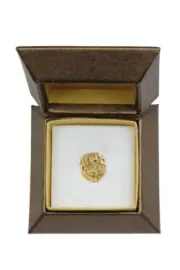 Labrador Retriever - Dog brooch in decorative box, elegant gold-plated pin, Art-