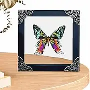 Display Frame Shadow Case - Wooden Floating Display Case,Aesthetic Home Decoration, Picture Frame Stand For Living Room, Bedroom, Studio, Wall, Shelf