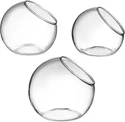 ifundom 3Pcs Glass Bottle Elegant Micro Landscape Bottle for Succulents and Moss Transparent Plant Container for Home Decor and Hydroponics