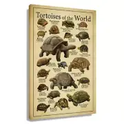 Busmko Vintage Tortoise Decor Poster Vertical Knowledge Education Canvas Gicl...