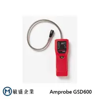 在飛比找蝦皮購物優惠-(敏盛企業) Amprobe GSD600 瓦斯檢漏儀