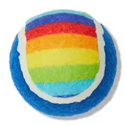 All Day Fetch Ball Dog Toy Rainbow