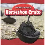 HORSESHOE CRABS