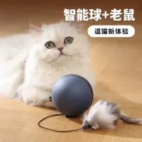 在飛比找蝦皮購物優惠-【寵物烏託邦】 寵物玩具 貓咪玩具球 電動逗貓球 老鼠逗貓玩