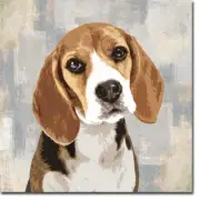 Beagle by Keri Rodgers Gallery Wrapped Canvas Giclee Artwork (24 in x 24 in)