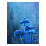 Blue Top Mushrooms Canvas Print Wall Art